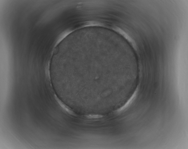 X0000111471137200908101109