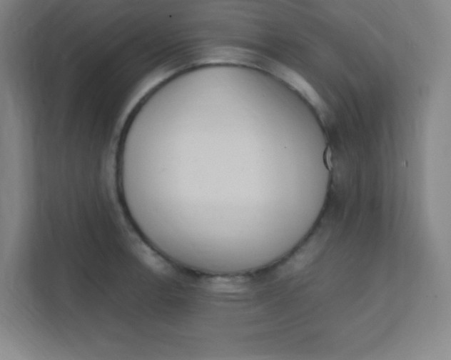 X0000111471138200908101109