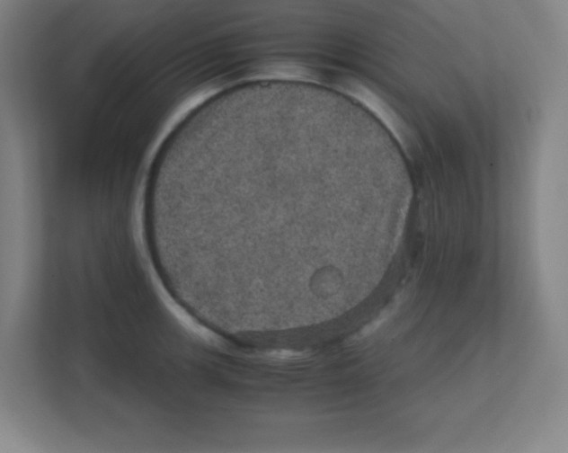 X0000111471139200908101109