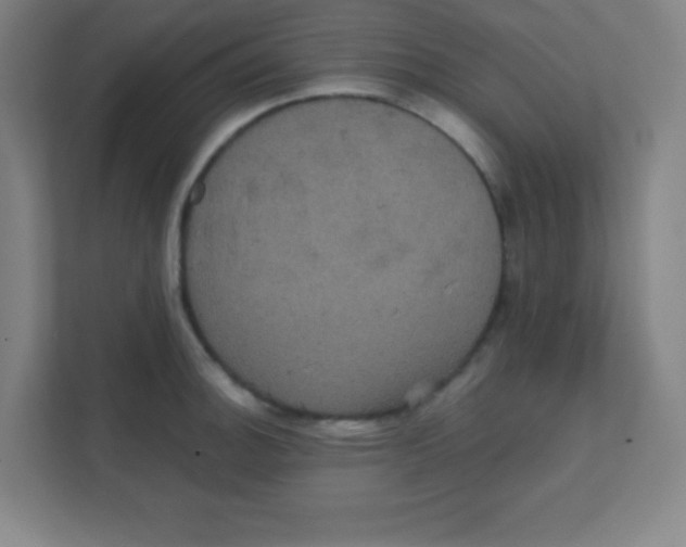 X0000111471140200908101109