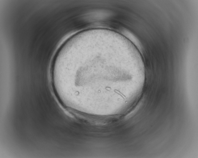 X0000111471141200908101109