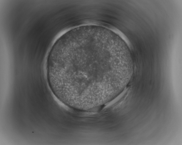 X0000111471143200908101109