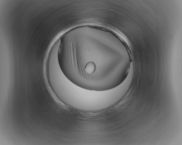 X0000111471144200908101109