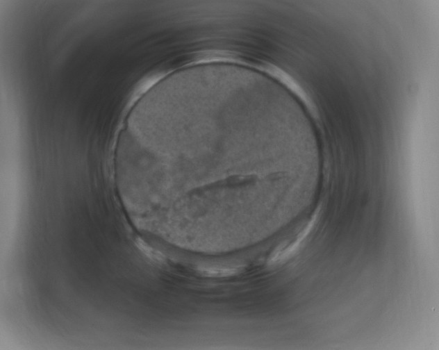 X0000111471145200908101109