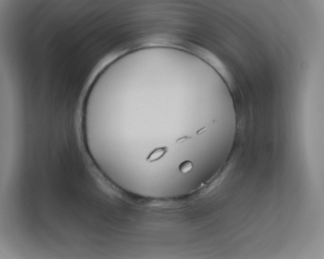 X0000111471146200908101109