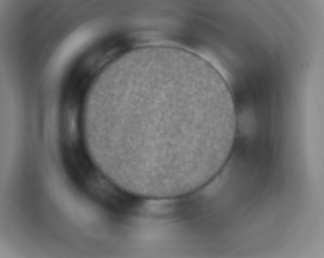 X0000111471150200908101109