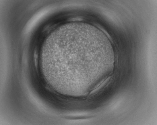 X0000111471151200908101109