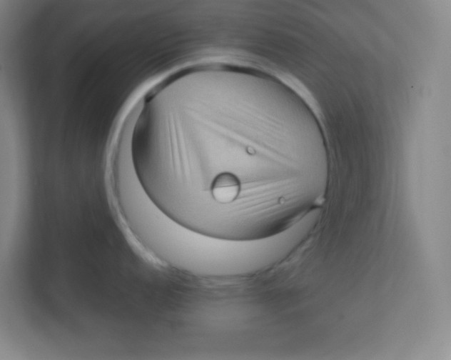 X0000111471152200908101109