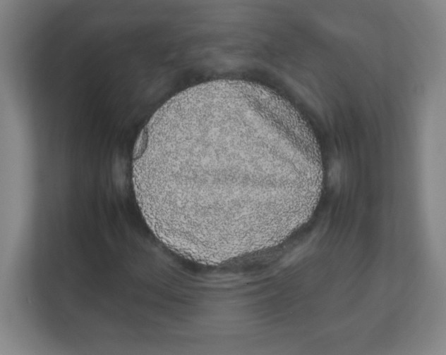 X0000111471156200908101109