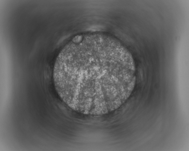 X0000111471158200908101109