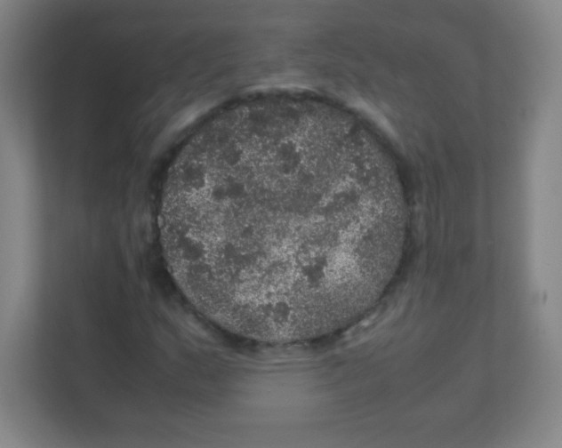 X0000111471159200908101109