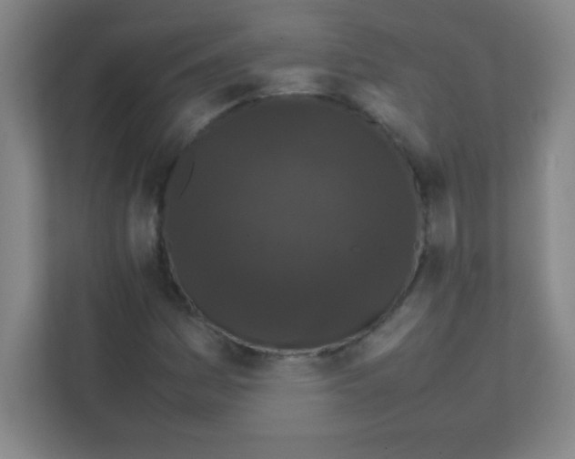 X0000111471161200908101109