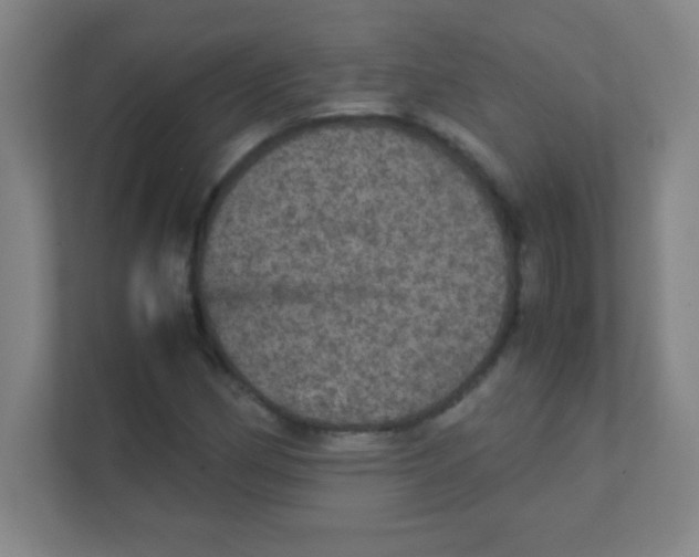 X0000111471162200908101109