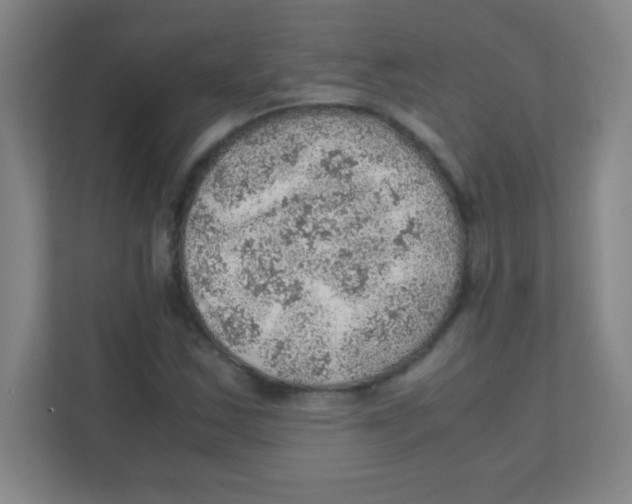 X0000111471163200908101109