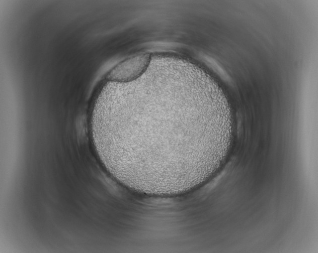 X0000111471164200908101109