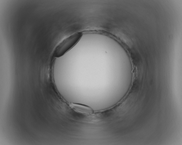 X0000111471165200908101109