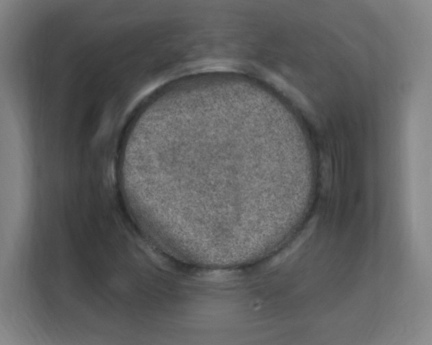 X0000111471166200908101109