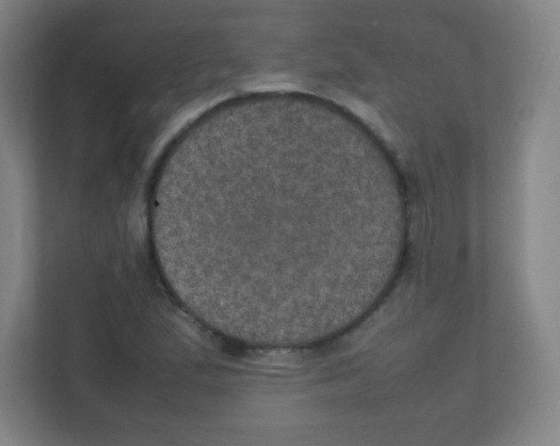 X0000111471167200908101109