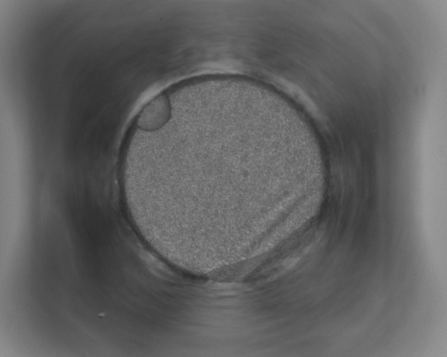 X0000111471168200908101109