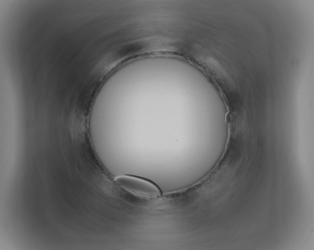 X0000111471169200908101109