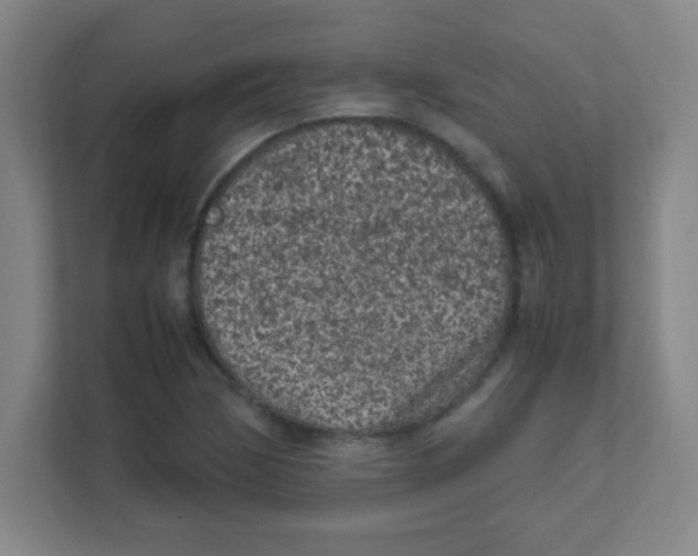 X0000111471170200908101109