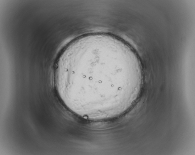 X0000111471171200908101109