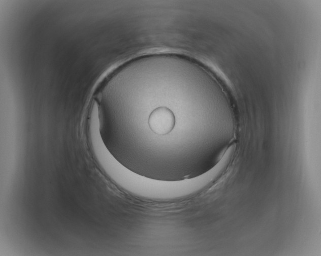 X0000111471173200908101109