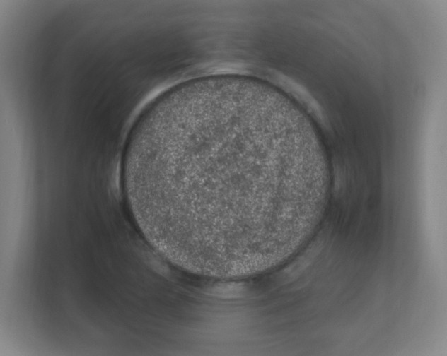 X0000111471174200908101109