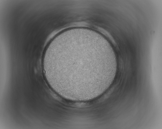 X0000111471176200908101109