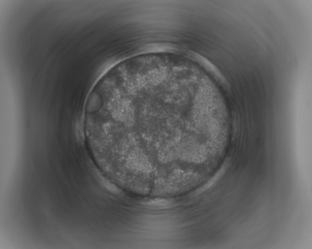 X0000111471178200908101108