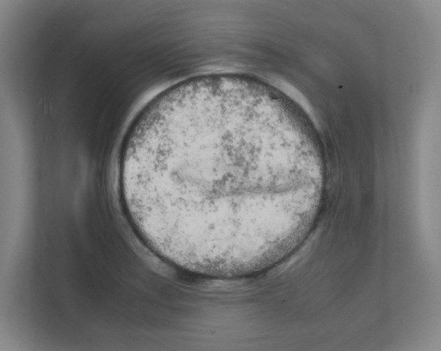 X0000111471179200908101108