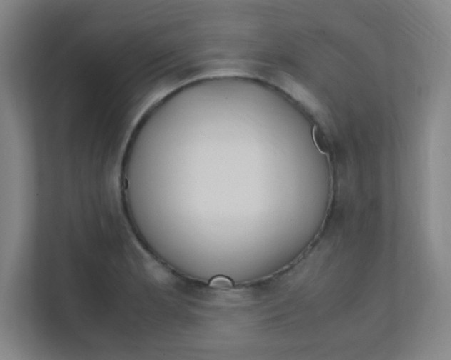 X0000111471181200908101108