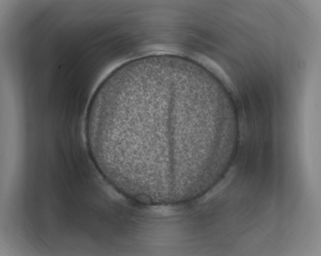 X0000111471182200908101108