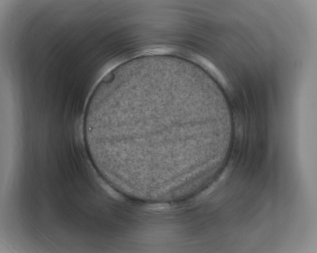 X0000111471186200908101108