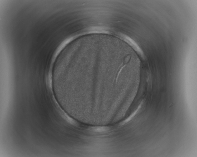 X0000111471188200908101108