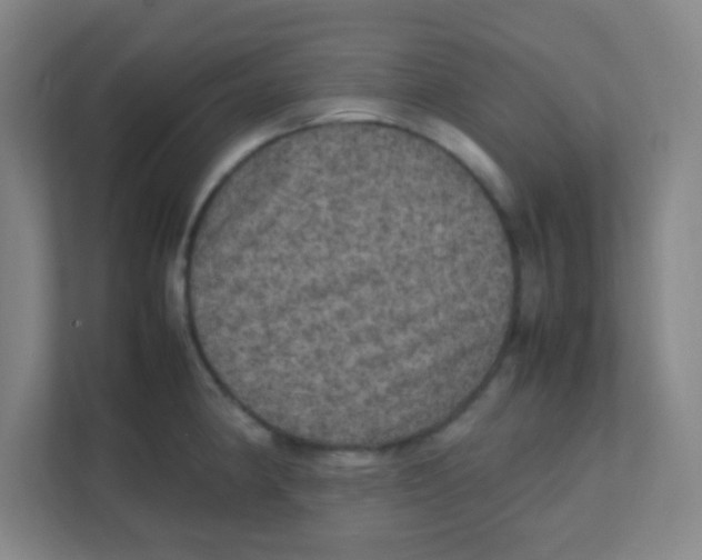 X0000111471190200908101108