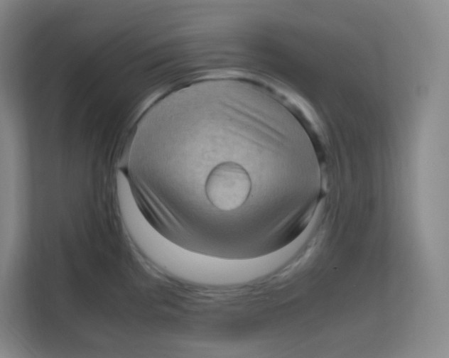 X0000111471193200908101108