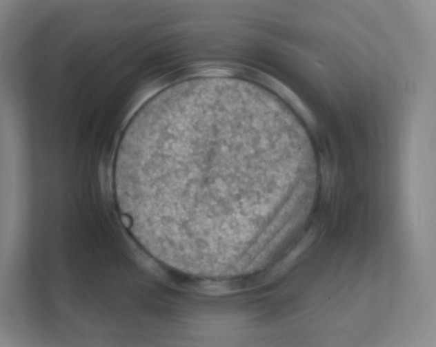 X0000111471194200908101108