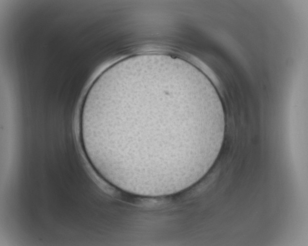 X0000111471195200908101108