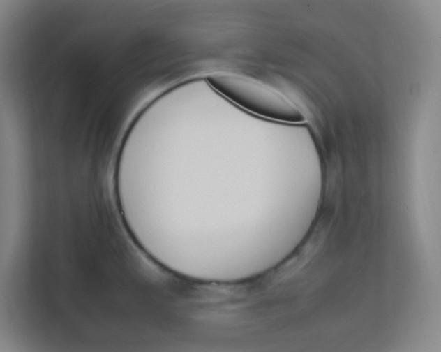 X0000111471197200908101108