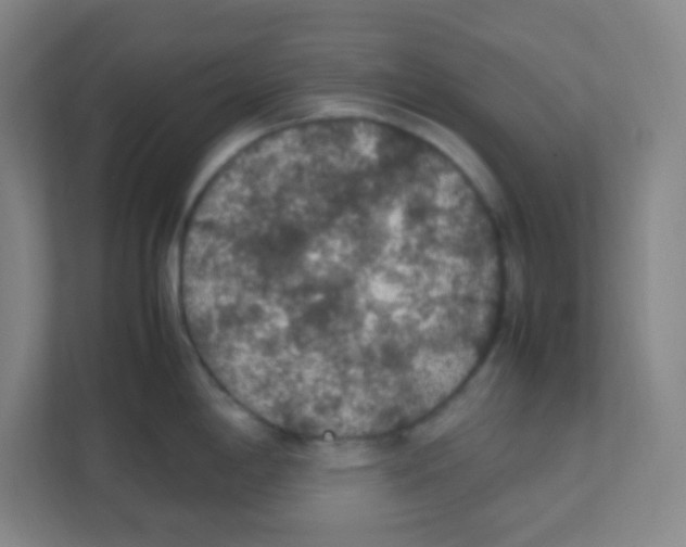 X0000111471198200908101108