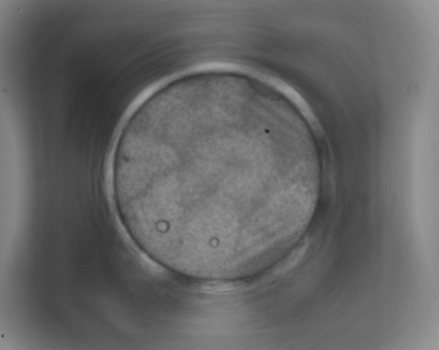 X0000111471199200908101108