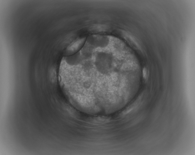 X0000111471203200908101108