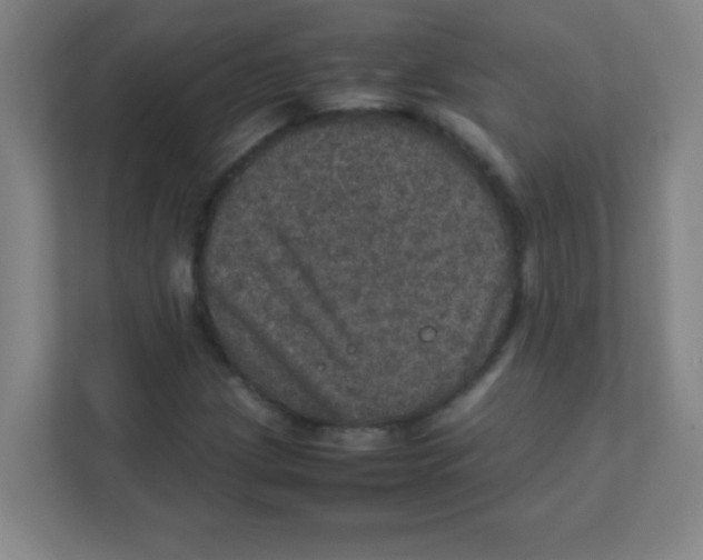 X0000111471209200908101108