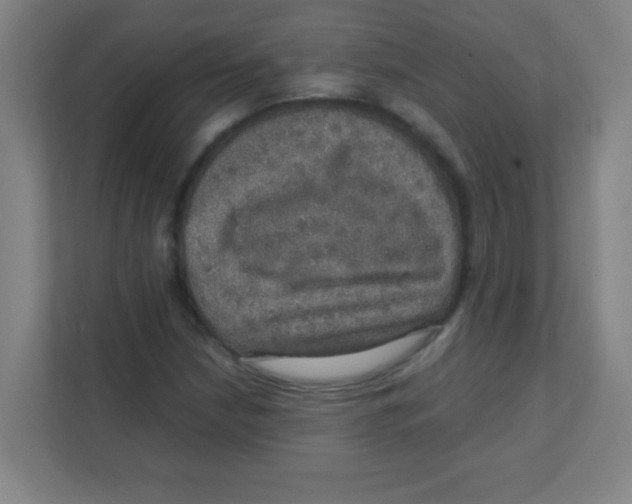 X0000111471210200908101108