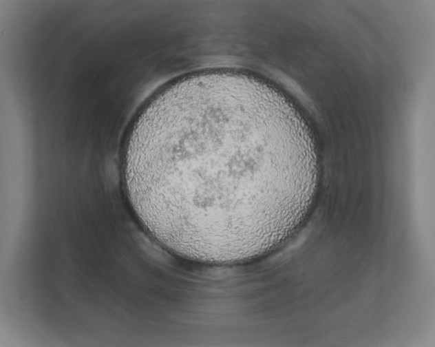 X0000111471212200908101108