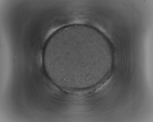 X0000111471214200908101108