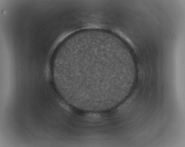 X0000111471215200908101108