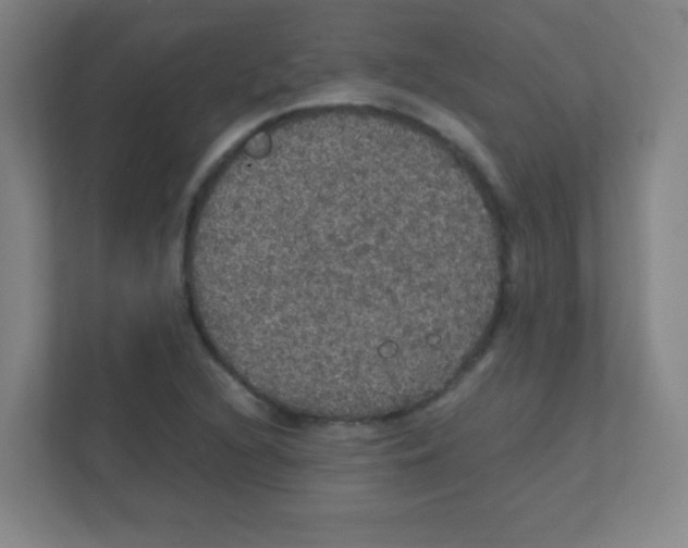 X0000111471216200908101108