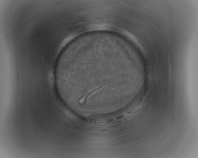 X0000111471218200908101108